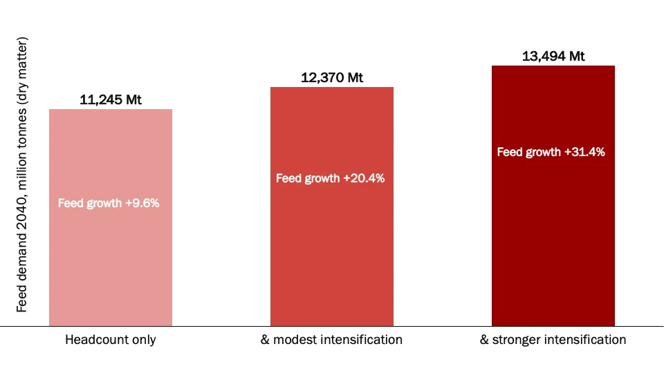 Cattle feed demand due to farming intensity