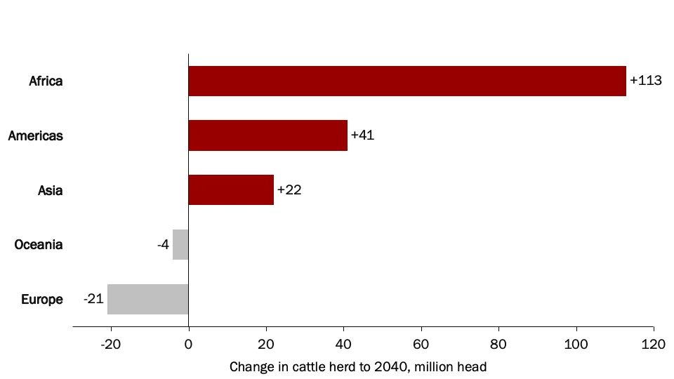Chart showing absolution change in cattle population by 2040 across continents